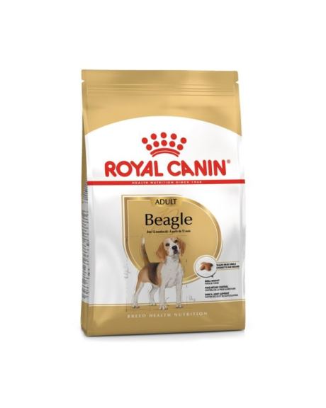 Royal Canin Beagle está indicado para perros adultos, a partir de los 12 meses.