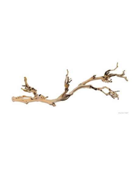Ramo Natural Forest Branch Exo Terra