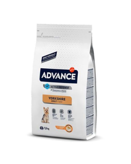 ADVANCE YORKSHIRE TERRIER