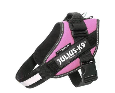 Arnés Julius K9 IDC Rosa