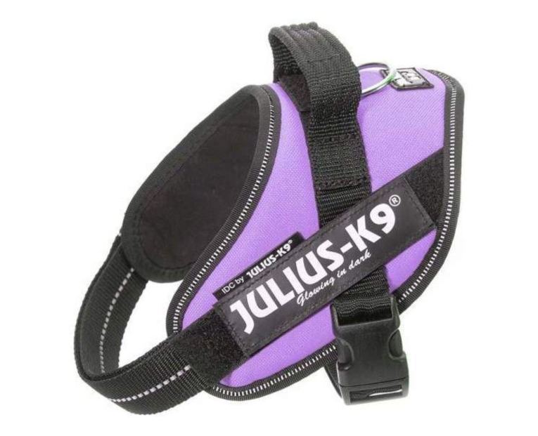 Arnés Julius K9 IDC Purpura