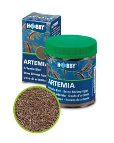 Hobby Ovos de Artemia