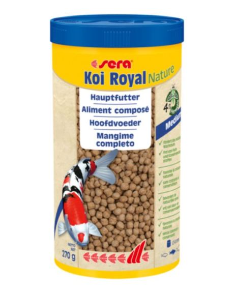 sera koi royal medium