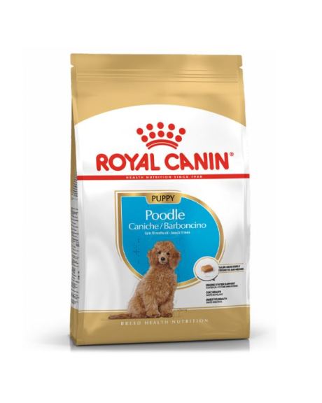 Royal Canin Poodle Puppy es un alimento formulado para cubrir las necesidades específicas de la raza durante la etapa de crecimiento