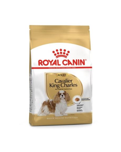 Royal Canin Cavalier King Charles Adulto es un alimento completo que cubre las necesidades específicas de la raza. Por ello, su fórmula especial aporta todo lo que estos perros necesitan para mantener su salud y vitalidad durante toda su vida.