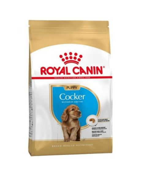 Royal Canin Cocker Puppy ha desarrollado este alimento ideal para cachorros Cocker. Por ello, su croqueta exclusiva favorece la higiene bucal y retrasa la aparición de sarro gracias a sus quelantes de compuestos de calcio. Además, también contiene proteínas digeribles y de alta calidad.