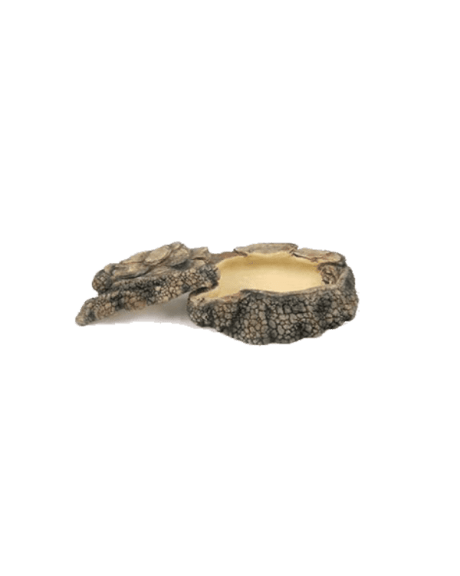 Comedero con Tapa Terratlântis
