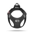 Curli Pectoral Air-Mesh Negro