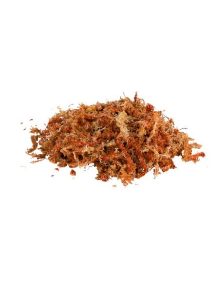 Musgo Sphagnum - Substrato Tropical Compactado 100g aberto