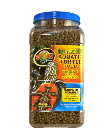 comida aquatic turtle jovem