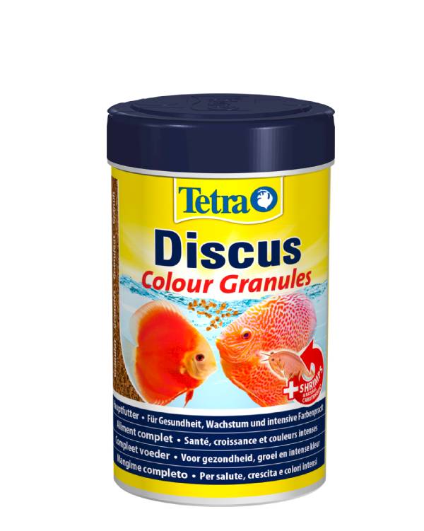 tetra discus granulado
