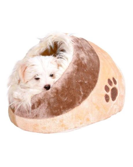 gruta cama moni cão