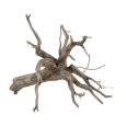 Raiz Sera Scaper Root M