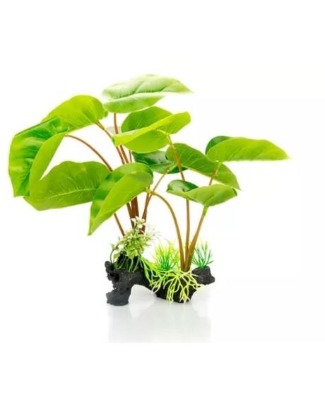 La planta Philodendron erubescens es una planta artificial para patios o acuarios fabricada en resina.