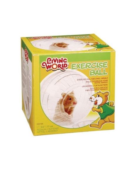 Bola de ejercicio Living World