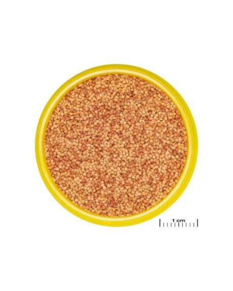 JBL PRONOVO COLOR GRANO