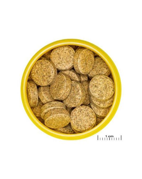 JBL PRONOVO CORYDORAS TAB