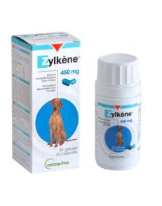 Zylkene 450 mg ayuda a minimizar la ansiedad en diferentes situaciones.