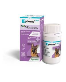 Zylkene Plus 15-60kg ayuda a minimizar la ansiedad en diferentes situaciones.