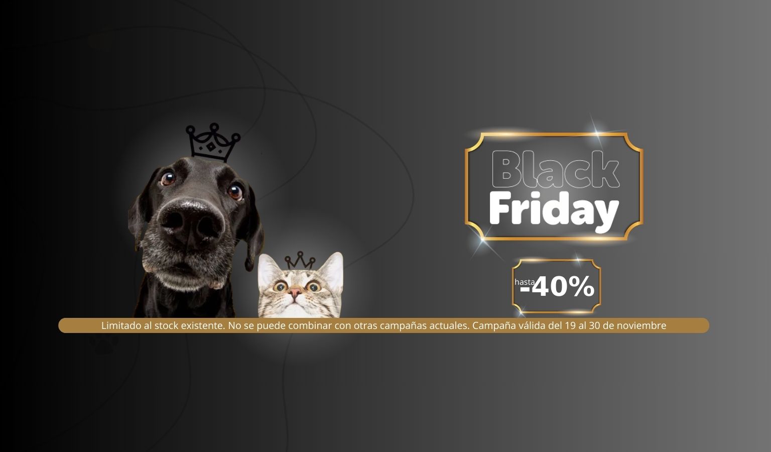 Black_friday_banner_desktop