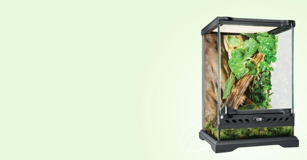 Exo Terra — Terrarios y Accesorios para Reptiles | Confort Animal