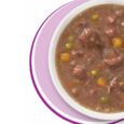 Catit_Cuisine_Guisado_carne_vaca_legumes
