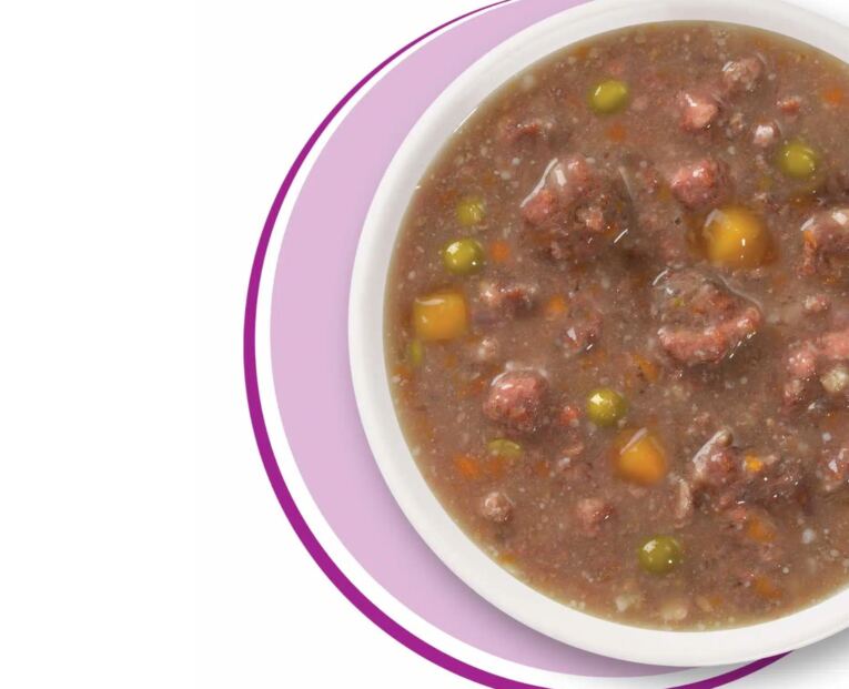 Catit_Cuisine_Guisado_carne_vaca_legumes