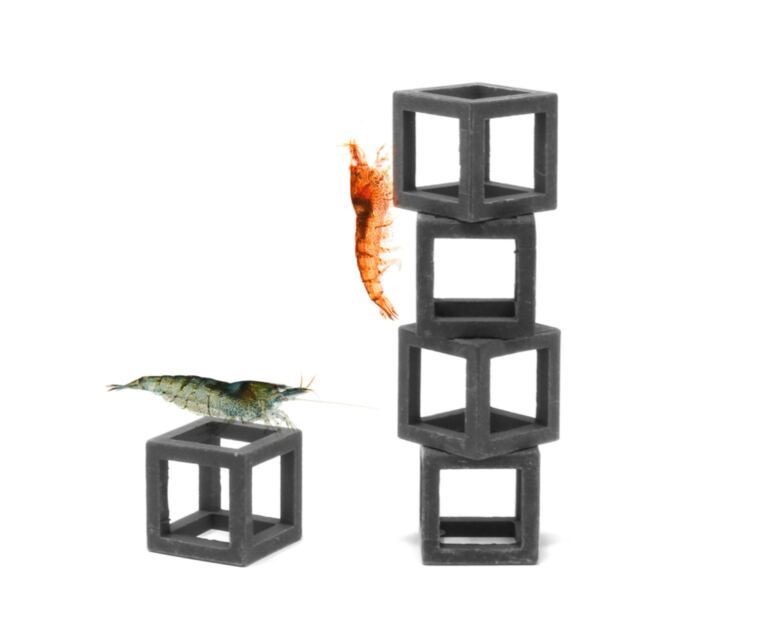 Aquavitro Shrimp Cubes ideal para pequeños camarones, peces y otros animales que naturalmente buscan aislamiento de vez en cuando para aliviar el estrés y evitar la depredación.