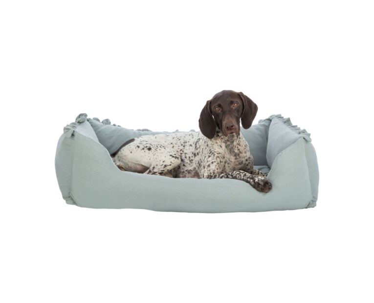 La cama Amelie es un complemento ideal para el descanso del perro.
