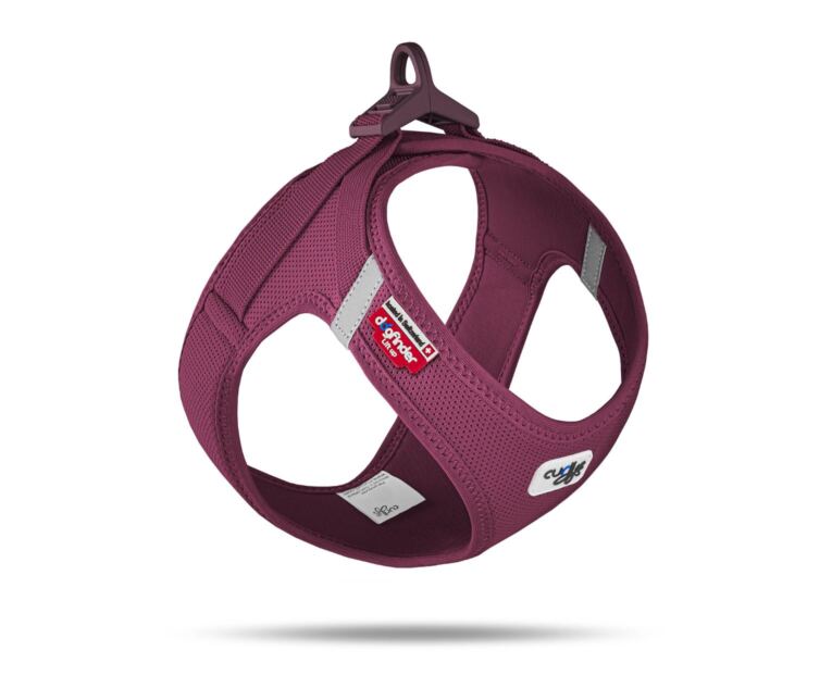 Arnés Curli Clasp Vest Air-Mesh Burdeos indicado para perros pequeños y medianos.