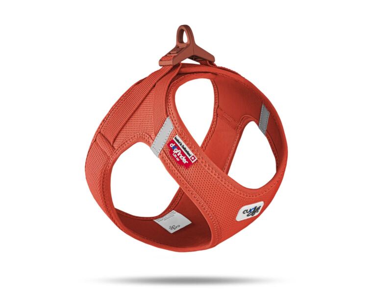 Arnés Curli Clasp Vest Air-Mesh Naranja indicado para perros pequeños y medianos.