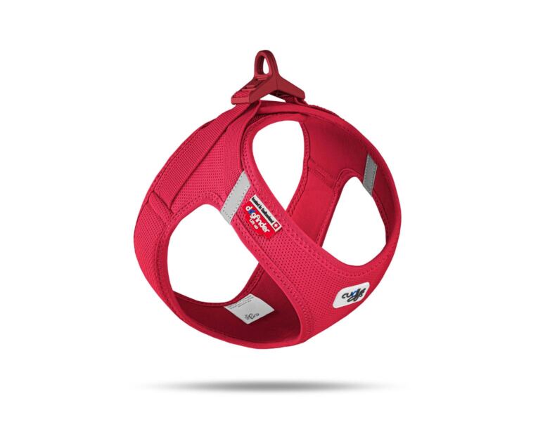 Arnés Curli Clasp Vest Air-Mesh Rojo indicado para perros pequeños y medianos.