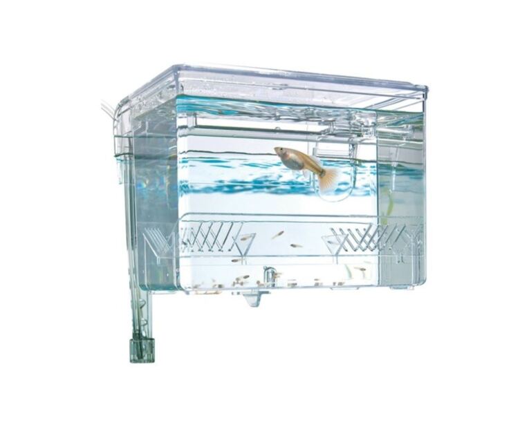 Maternidad Breeding Box Fluval