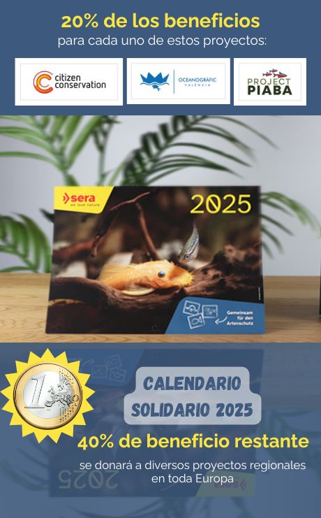 calendario_solidario_2025_mobile (1)