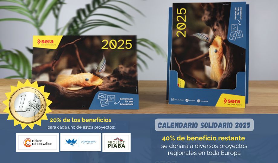 calendario_solidario_2025_tablet (1)