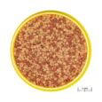 jbl pronovo color grano