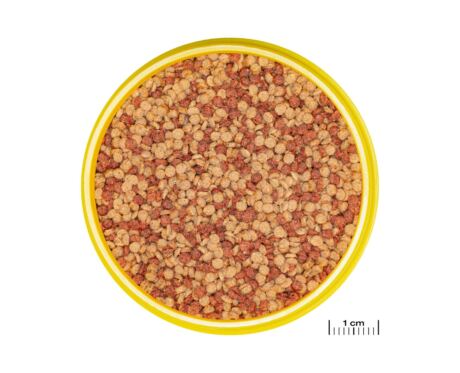 jbl pronovo color grano