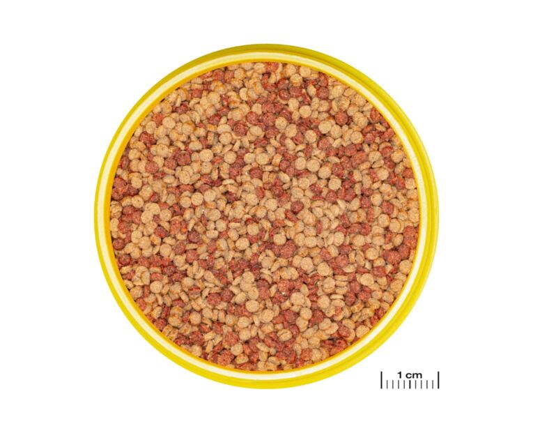 jbl pronovo color grano