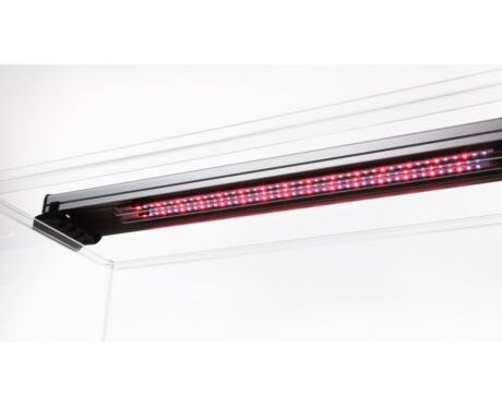 Sera AquaTank Light Set fiXture con luz diurna LED es un portalámparas de aluminio que incluye un tubo LED.
