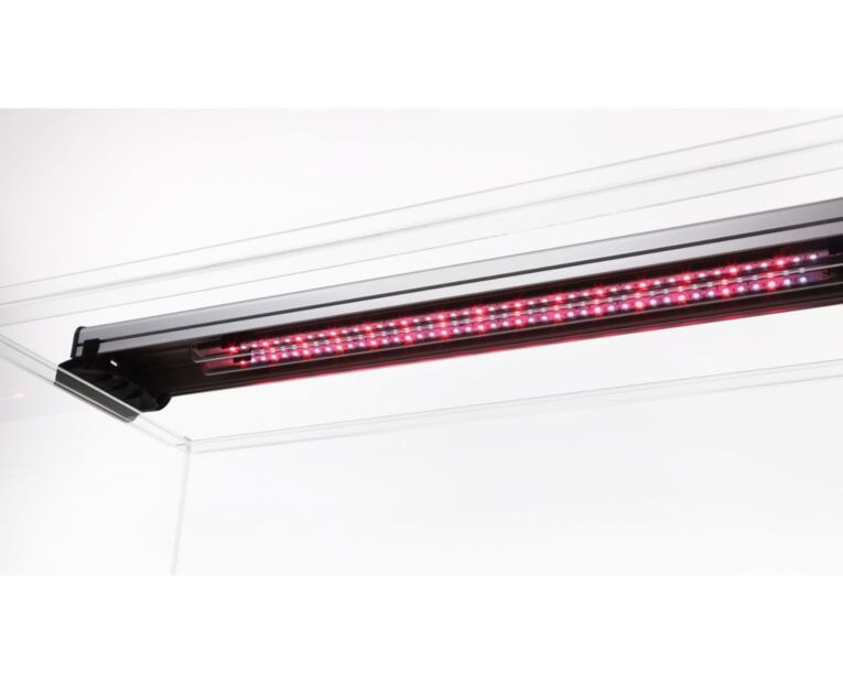 Sera AquaTank Light Set fiXture con luz diurna LED es un portalámparas de aluminio que incluye un tubo LED.
