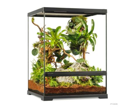 Pro Terrarium Small Tall Exo Terra 45×45×60 cm – Terrario Alto para Reptiles