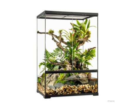 Pro Paludarium Medium X-Tall Exo Terra 60×45×90 cm – Paludario Vertical Mediano