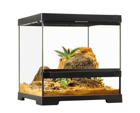 Pro Terrarium X-Small Wide Exo Terra 30×30×30 cm – Terrario Bajo y Ancho para Reptiles