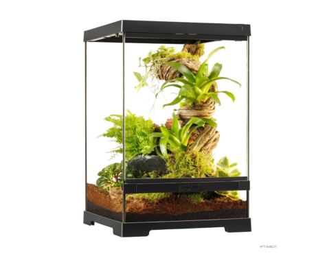 Pro Terrarium X-Small Tall Exo Terra 30×30×45 cm – Terrario Alto Compacto para Reptiles