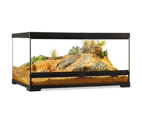 Pro Terrarium Small Low Exo Terra 45×45×30 cm – Terrario Bajo para Reptiles