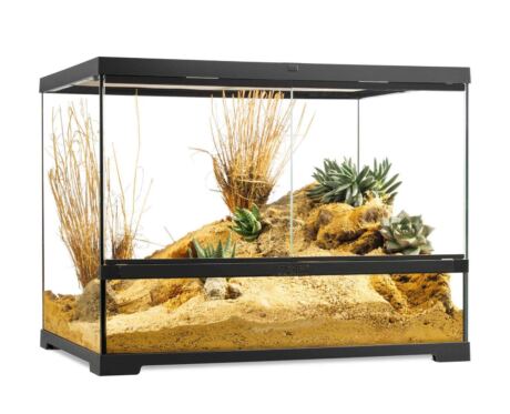 Pro Terrarium Medium Wide Exo Terra 60×45×45 cm – Terrario Medio Ancho para Reptiles