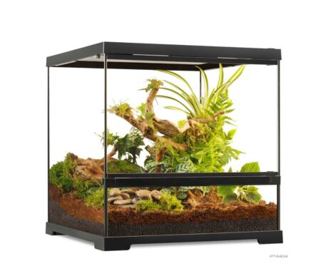 Pro Terrarium Small Wide Exo Terra 45×45×45 cm – Terrario Ancho para Reptiles