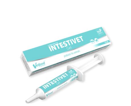 Jeringa de Intestivet Gel Vetfood 15ml para estabilizar el sistema digestivo de perros y gatos.